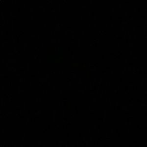 Meet your Posher, Tamia